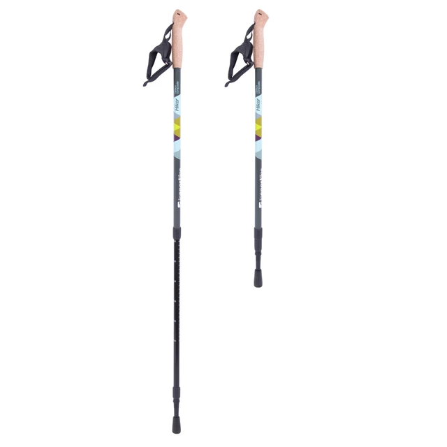 Nordic Walking palice inSPORTline Hiker