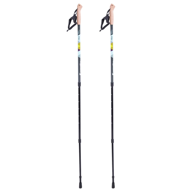 Carbon nordic walking online poles