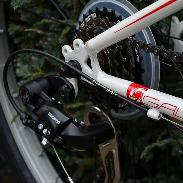 Juniorské dívčí kolo Galaxy Ruby 24"