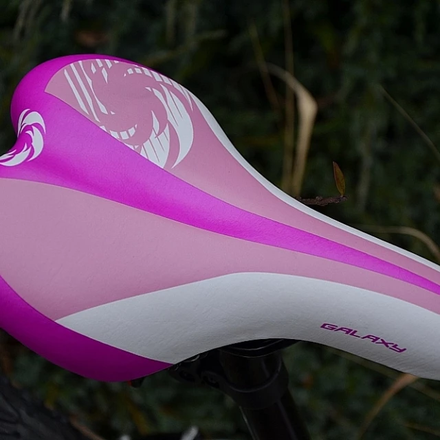 Juniorské dívčí kolo Galaxy Ruby 24"