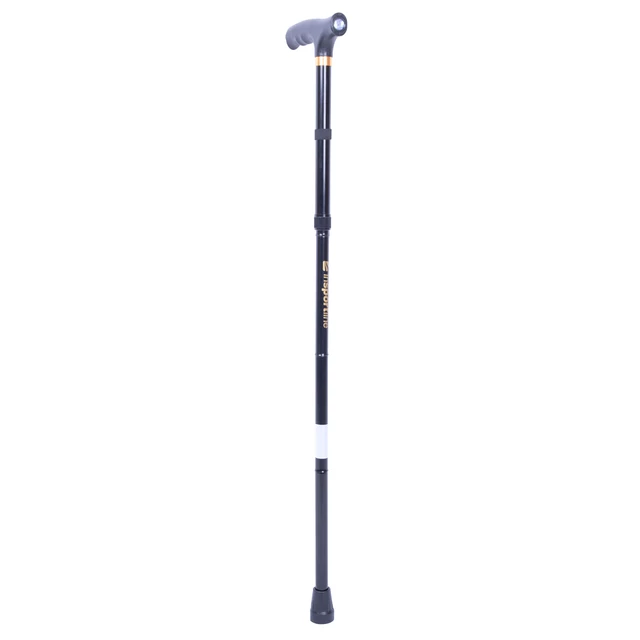 Trekking Pole inSPORTline Luzy