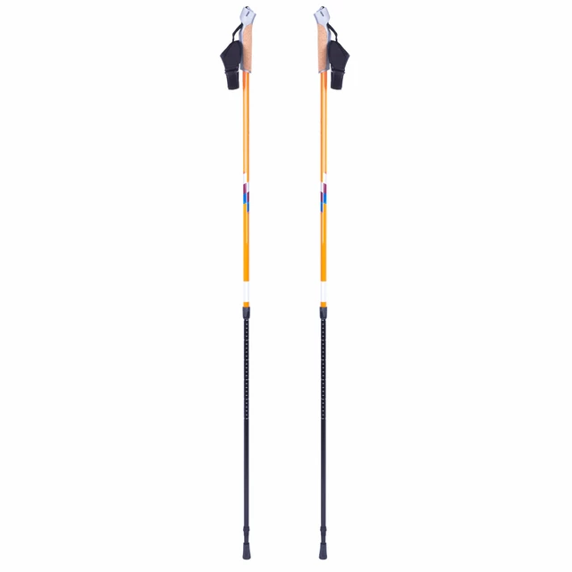 Nordic Walking Poles inSPORTline Potosi