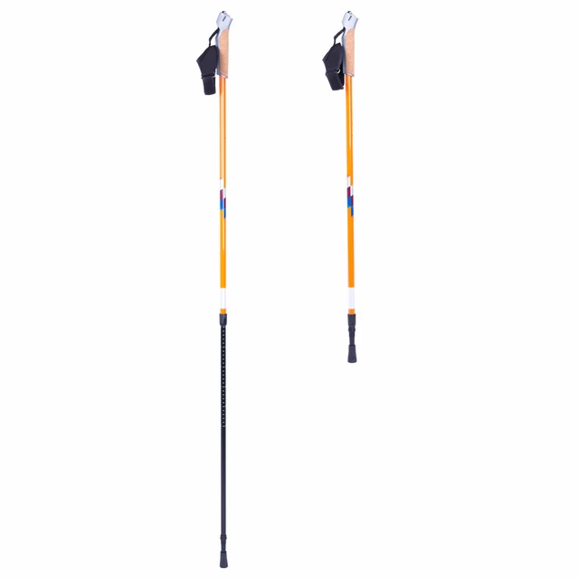 Nordic Walking Poles inSPORTline Potosi