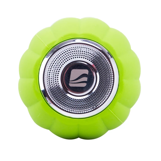 Wireless Bluetooth Speaker inSPORTline Skillex