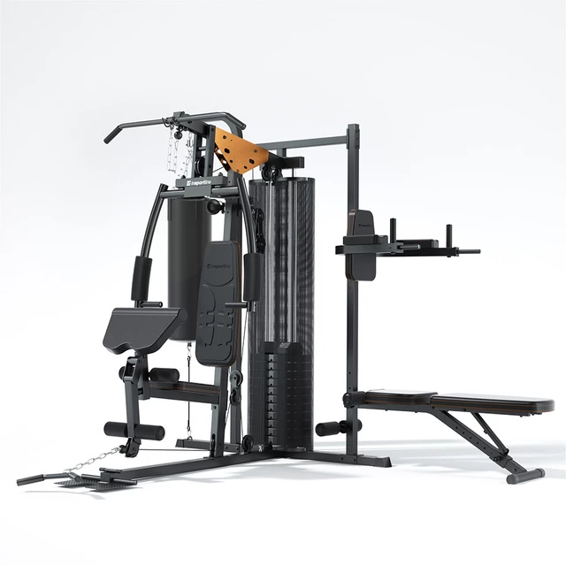 Фитнес гладиатор inSPORTline Profigym C60