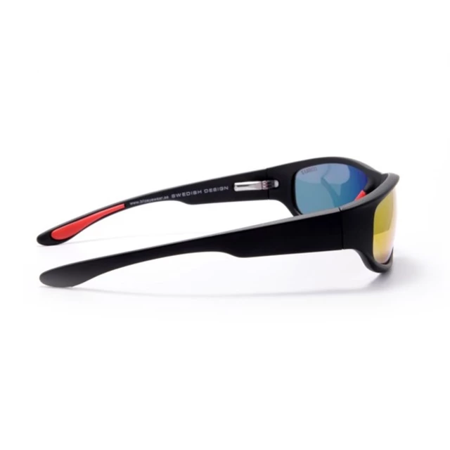 Polarized Sunglasses Bliz C Tracy