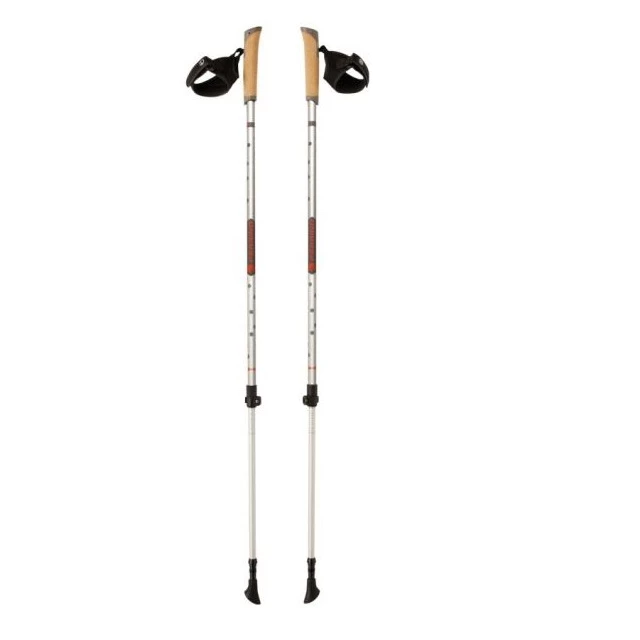 Nordic Walking Poles FERRINO Step-In