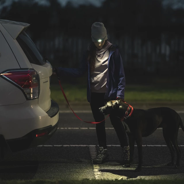 Knog Quokka Run Stirnlampe für Jogger