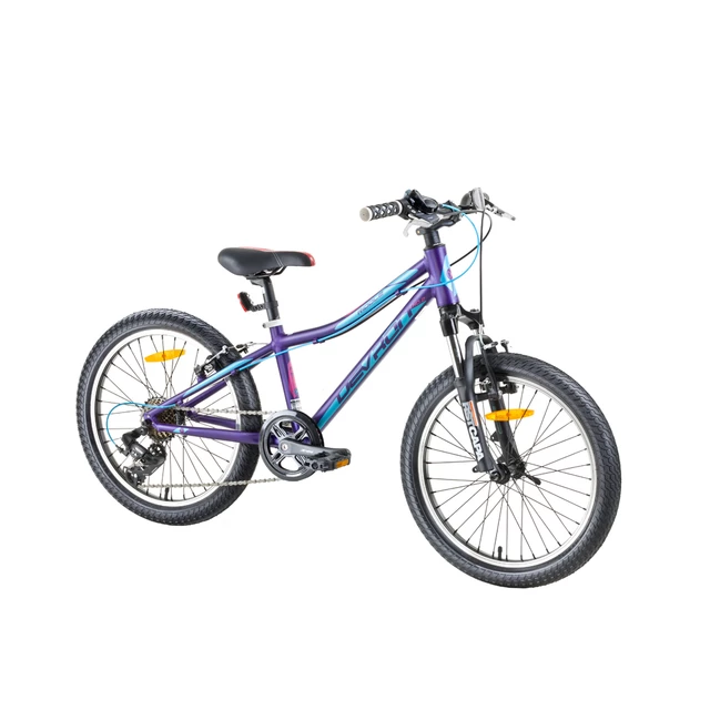 Girls' Mountain Bike Devron Riddle LH0.2 20'' - 2017 - Deep Purple - Deep Purple