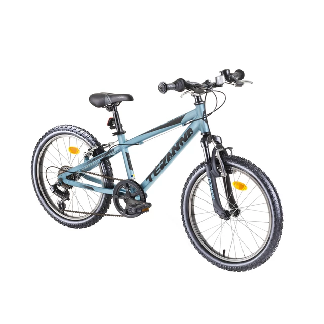 Detský bicykel DHS Teranna 2023 20" - model 2019 - blue - blue