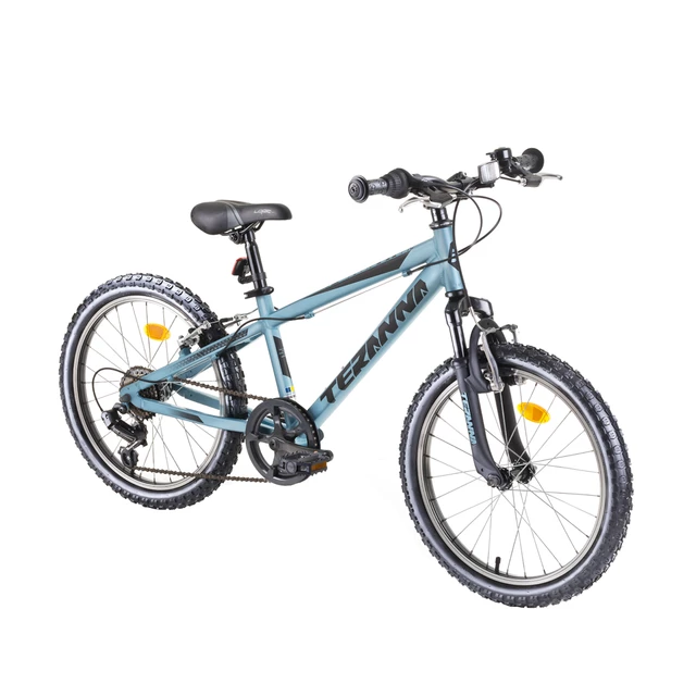 DHS Teranna 2423 24" - Junior Bike Modell 2019 - Grün