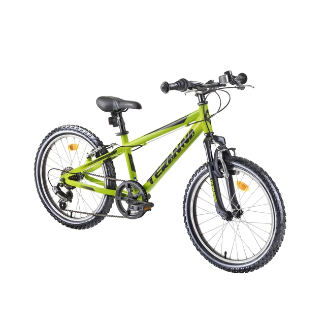 Detský bicykel DHS Teranna 2023 20" - model 2019 - blue - Green