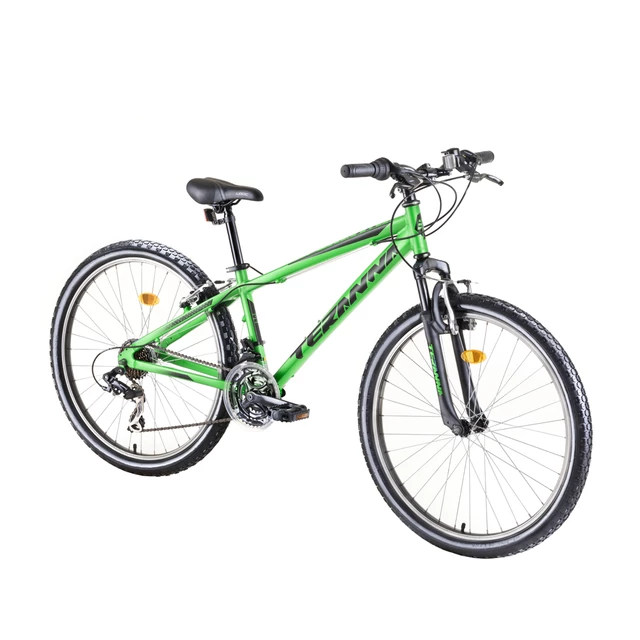 Mountain Bike DHS Teranna 2623 26” – 2019 - Green - Green