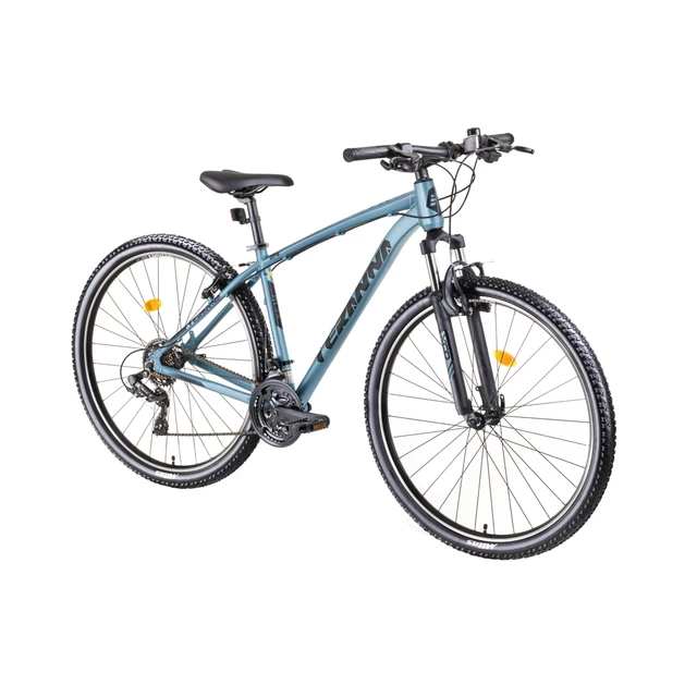 Horské kolo DHS Teranna 2923 29" - model 2019 - Black, 19,5" - Light Blue