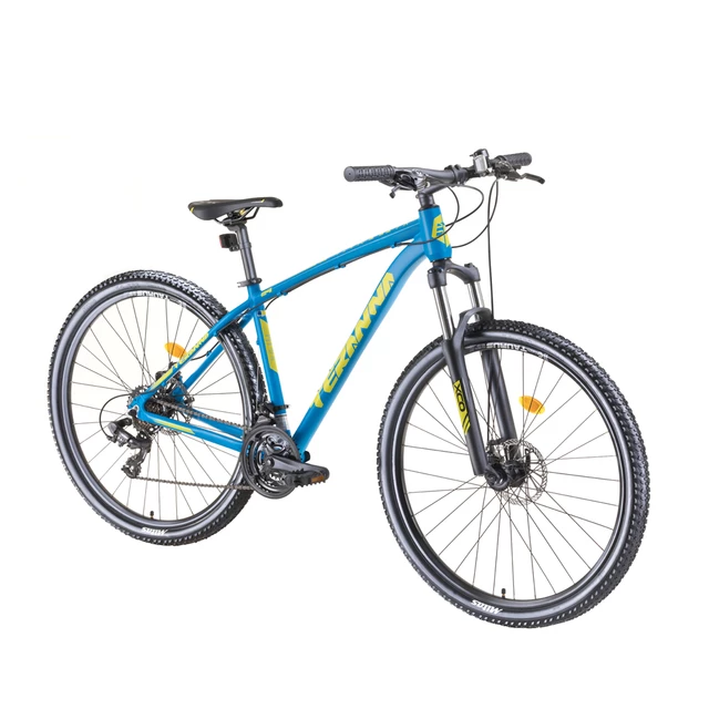 Horský bicykel DHS Teranna 2925 29" - model 2019 - blue - blue