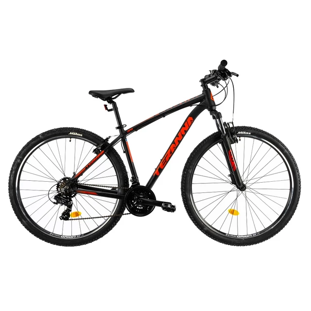 Mountain Bike DHS Teranna 2923 29” – 2019