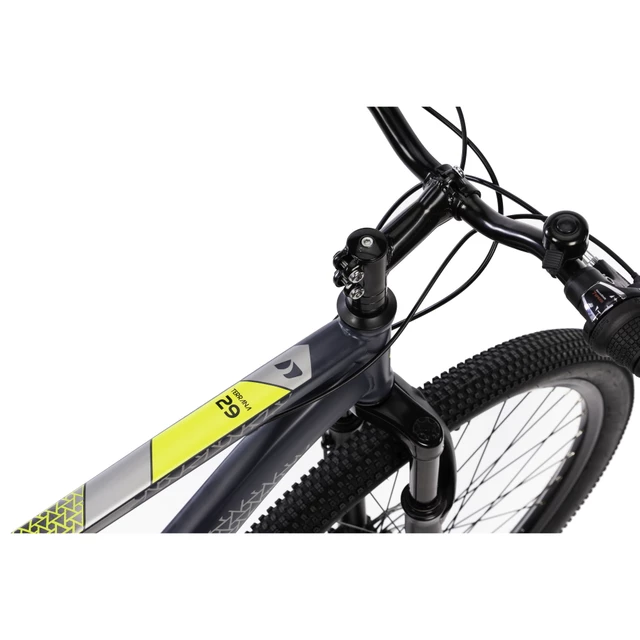 DHS 2905 29" Mountainbike - Modell 2021 - Blau