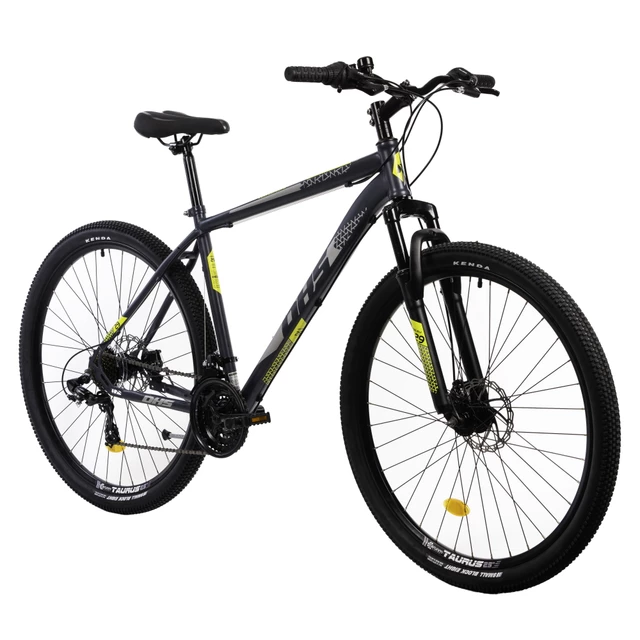 Mountain Bike DHS 2905 29” – 2021 - Grey