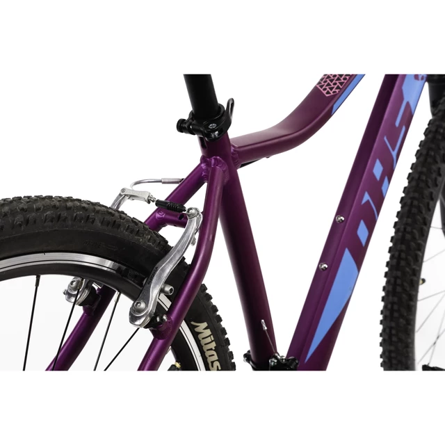 Női mountain bike kerékpár DHS Terrana 2922 29"