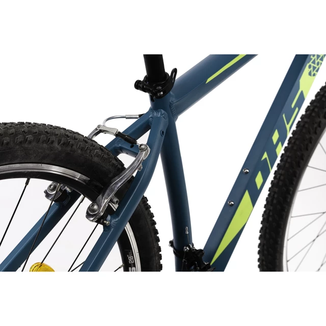 DHS Teranna 2923 29" Mountainbike - Modell 2022 - Blau