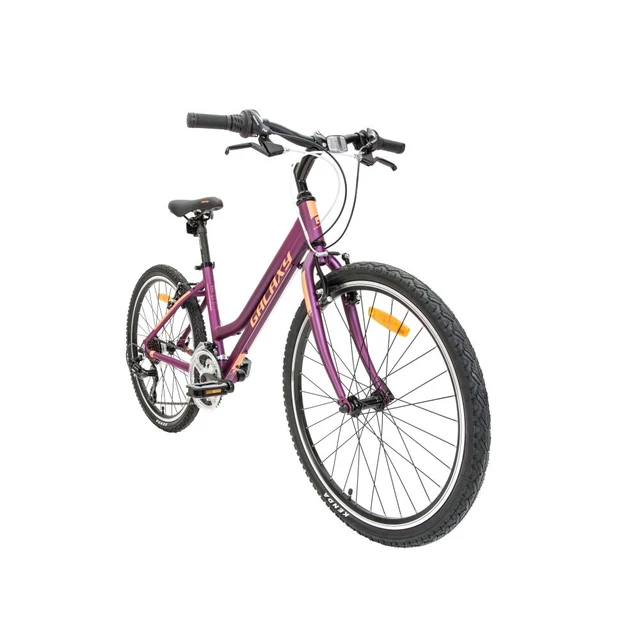 Juniorský dievčenský bicykel Galaxy Lyra 24" - model 2019 - fialová