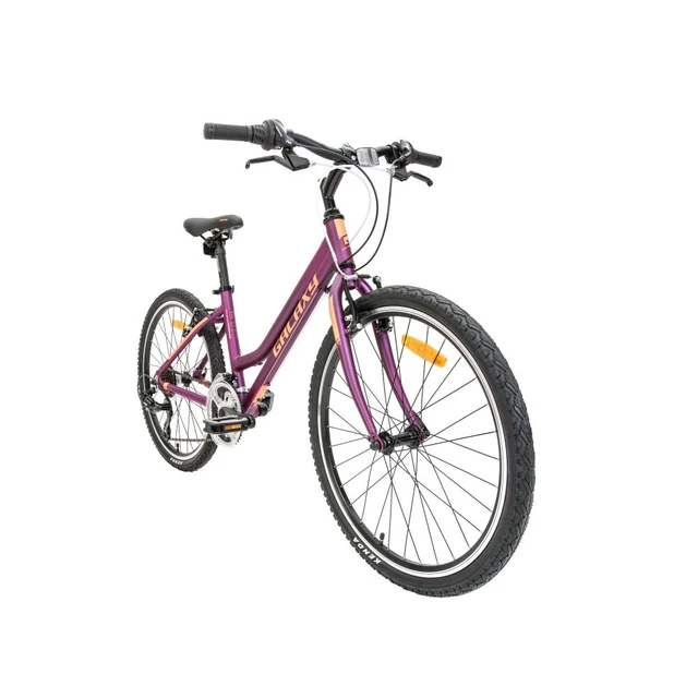 Galaxy Lyra 24" Junioren Mädchenfahrrad - Modell 2019 - lila