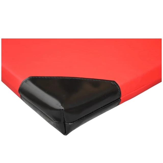 Gymnastická žinenka inSPORTline Roshar T110 200x120x5 cm - modrá