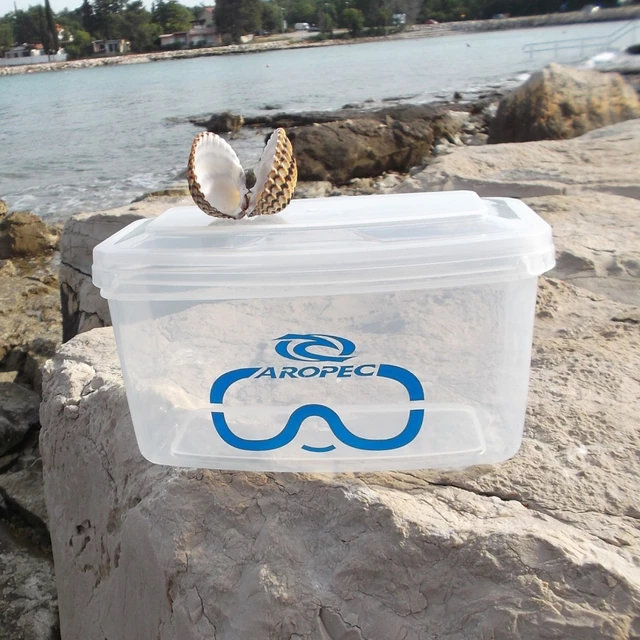 Swim Mask Box Aropec Transparent