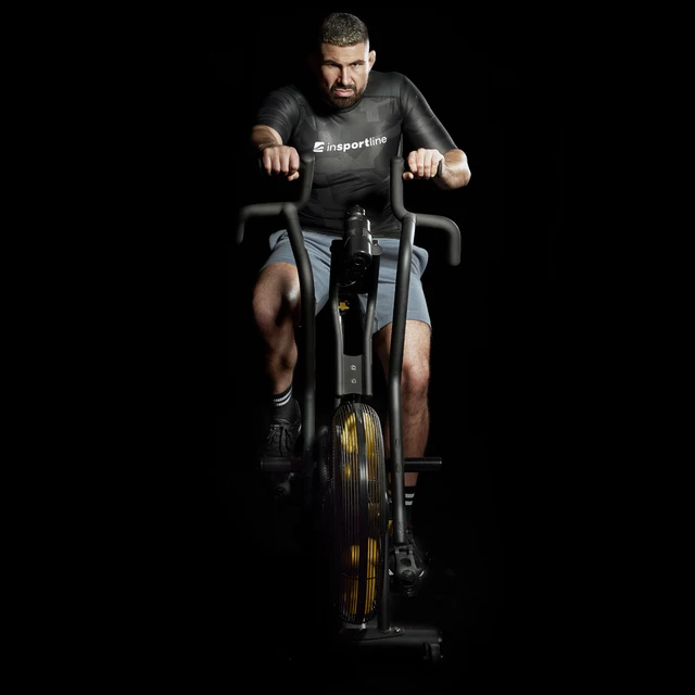 AirBike® inSPORTline Beast