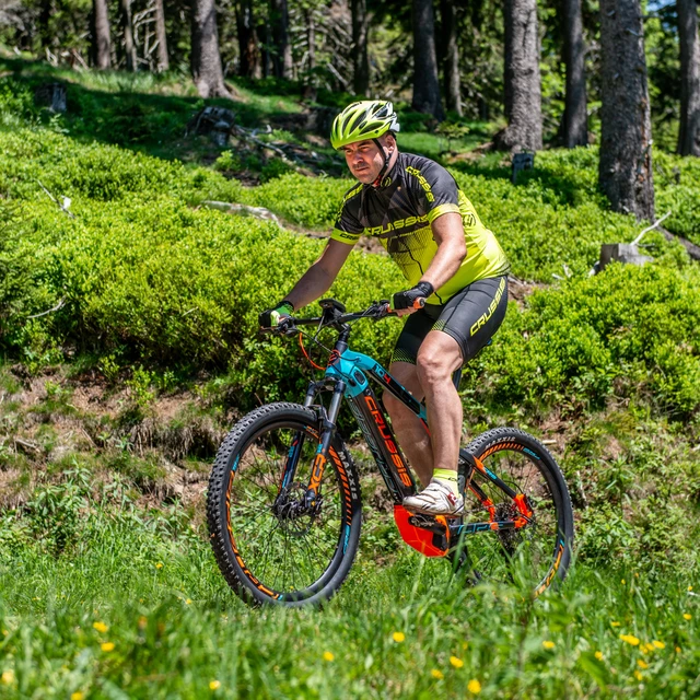 Mountain E-Bike Crussis e-Atland 10.4 – 2019