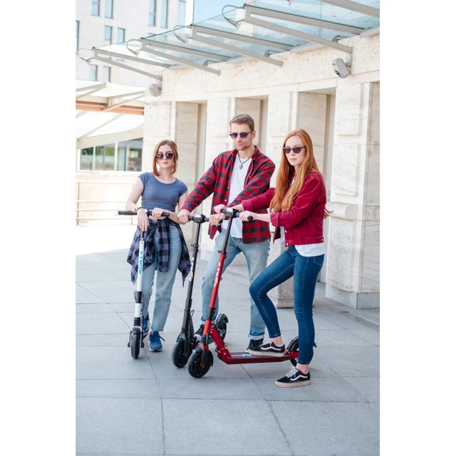 E-Scooter Powero City - Anthracite