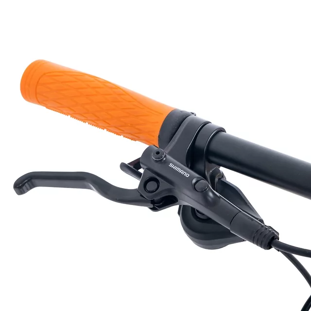 Horské elektrokolo Bulls Copperhead EVO 2 29" 750Wh - modrá