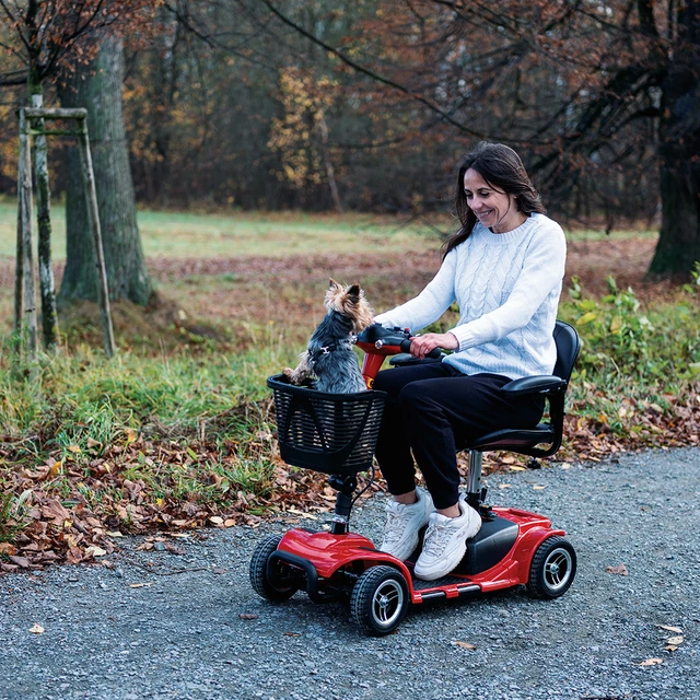 Elektrický čtyřkolový vozík Baichen Omis - 2.jakost