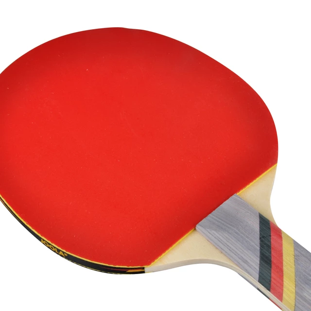 Joola Team Germany School Pingpong szett