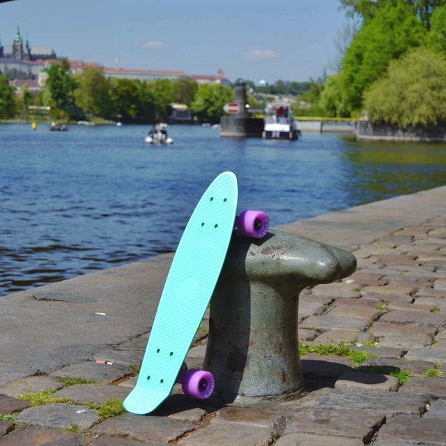 Műanyag gördeszka Fish Classic 22" - kék/ezüst/piros