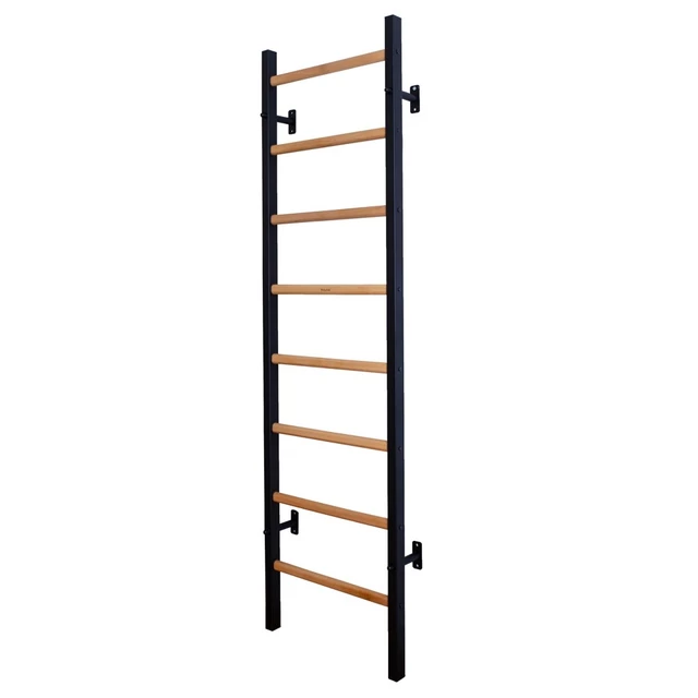 Wall Bars BenchK 210