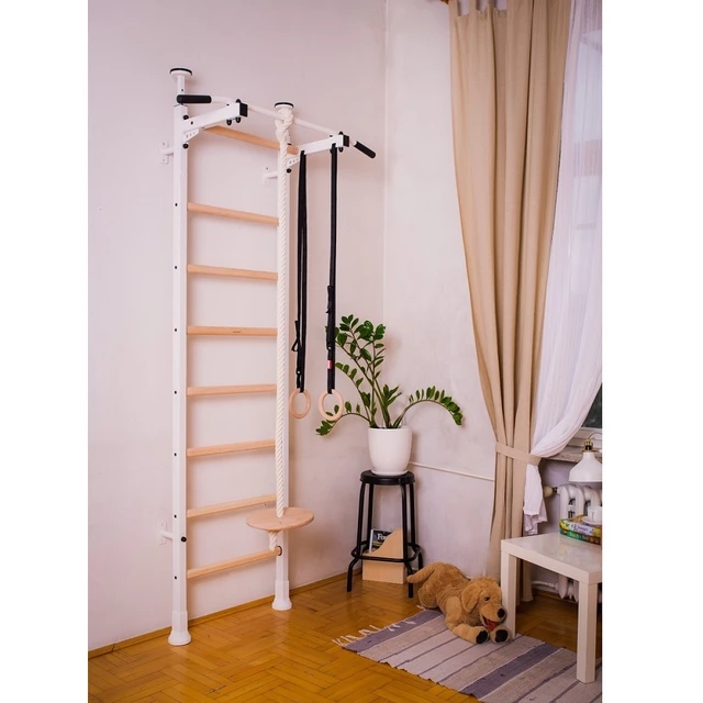 Wall Bars with Accessories BenchK 412