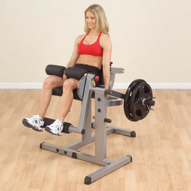 Seated Leg Extension/Leg Curl Machine Body Solid GCEC340