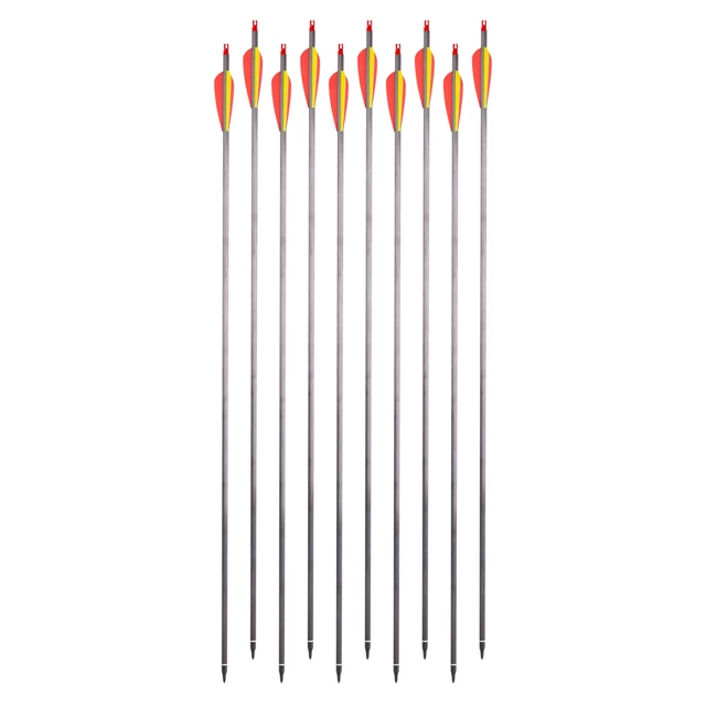 Carbon Arrows w/ Screw-In Tips inSPORTline Carbison 30” – 10 Pcs.