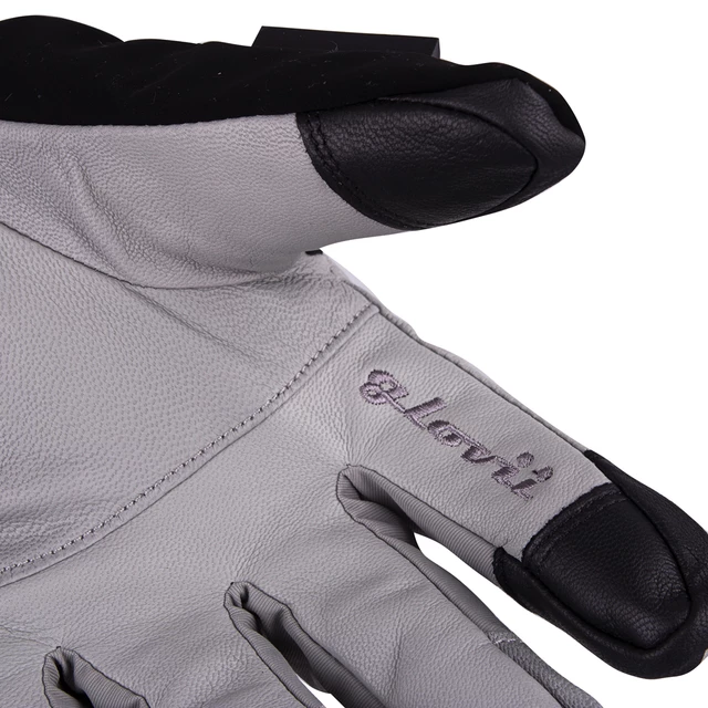 Heated Ski/Motorcycle Gloves Glovii GS8