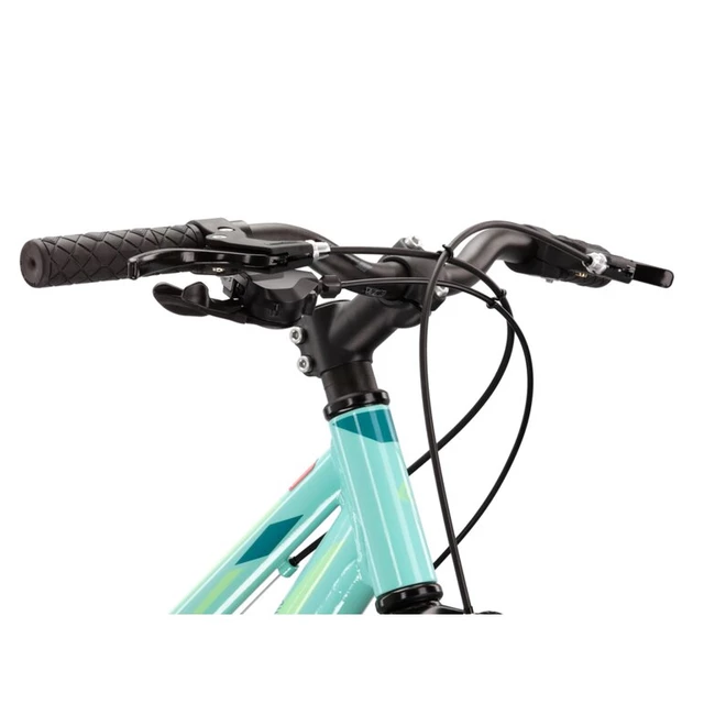 Junior Girls’ Bike Kross Lea JR 1.0 24” – 2022