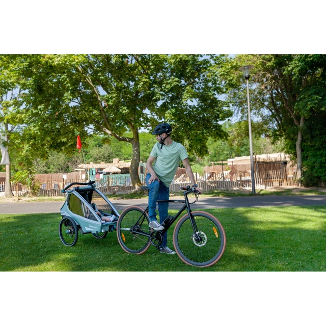 Multifunctional Bicycle Trailer Qeridoo KidGoo 1 Pro - Anthracite Grey