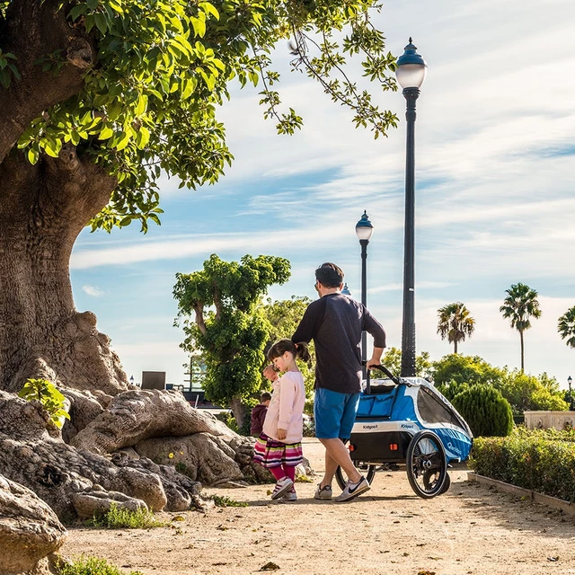 Multifunkční dětský vozík Qeridoo KidGoo 1 2018