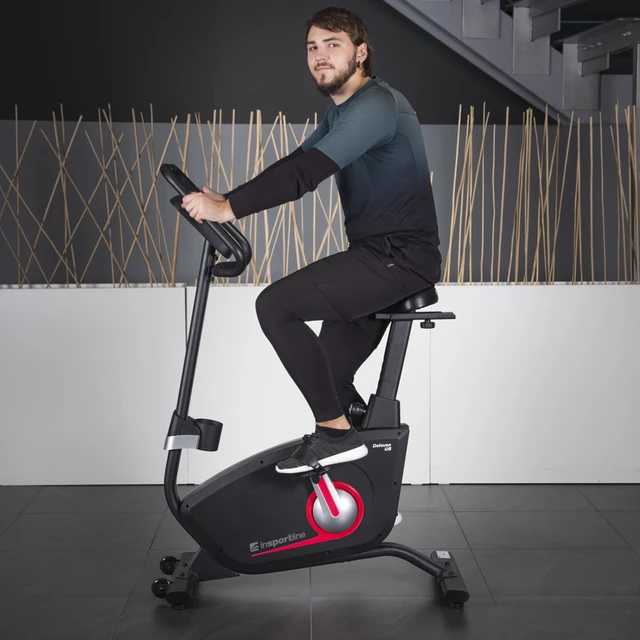 Rower treningowy magnetyczny inSPORTline Delavan UB - OUTLET