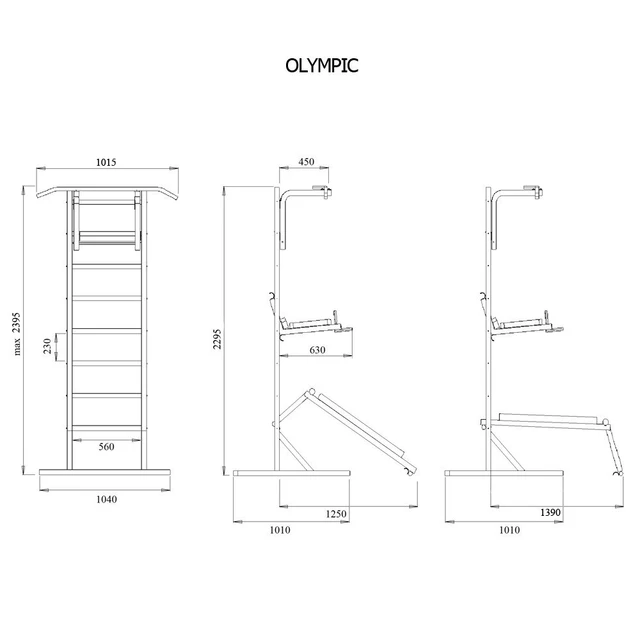 Freestanding Wall Bars BenchK Olympic