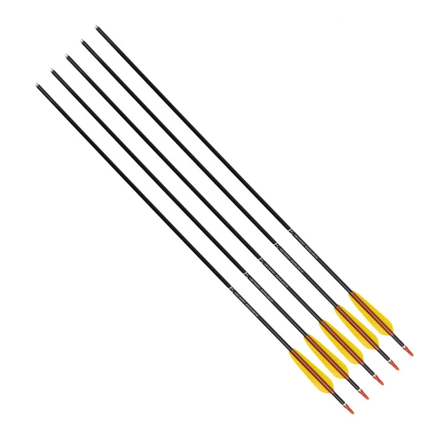 Aluminum Arrows Yate 5 Pcs.