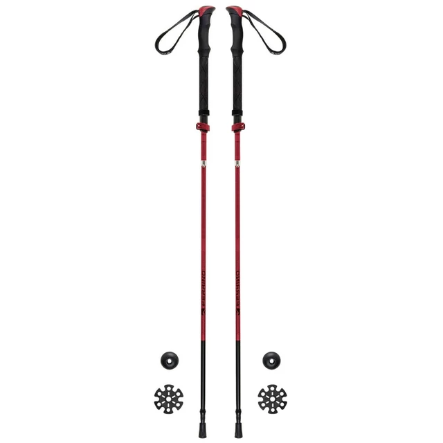 Trekking Poles FERRINO Spantik SS23