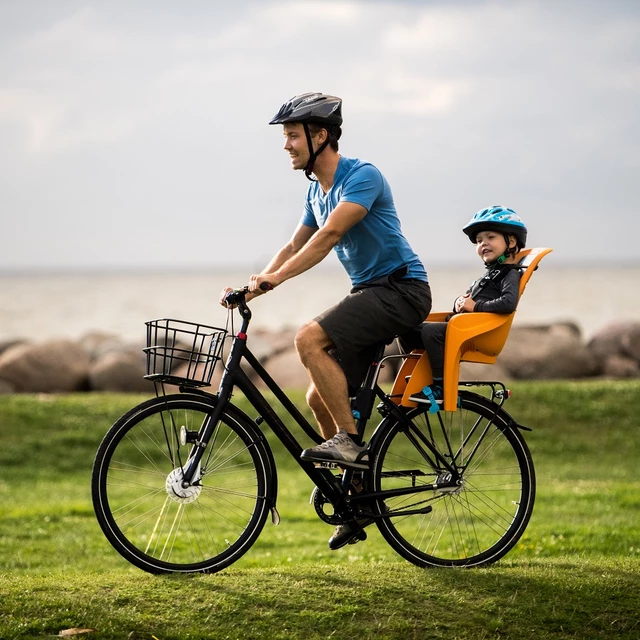 Bicycle Child Seat Thule RideAlong Lite - Dark Grey