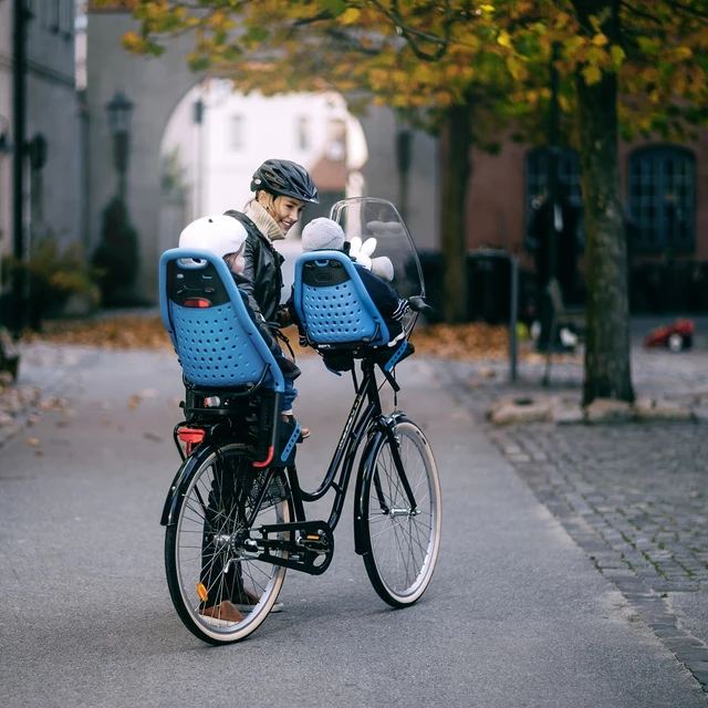 Detská cyklosedačka Thule Yepp Maxi EasyFit - Silver