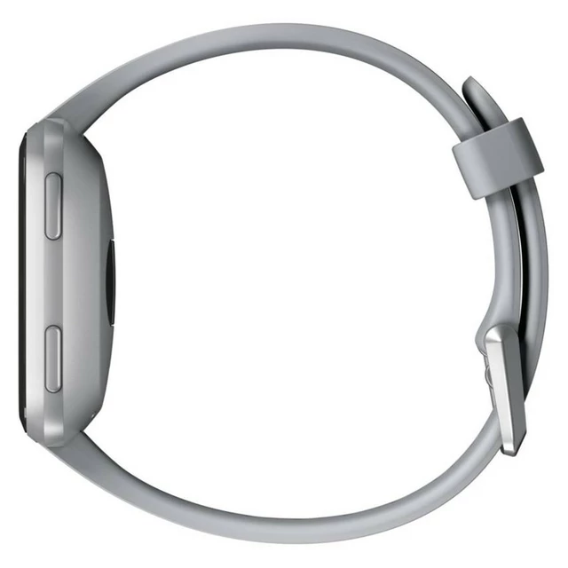 Inteligentné hodinky Fitbit Versa Gray/Silver Aluminum